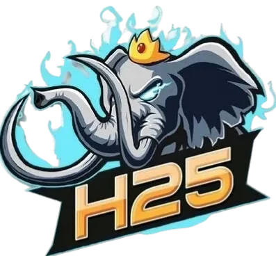 h75 slot